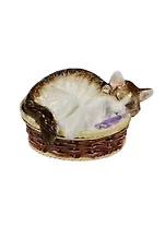 Шкатулка Кот в корзине (BP2525K1)