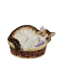 Шкатулка Кот в корзине (BP2525K1)
