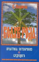 Волхв рода. Практика построения будущего