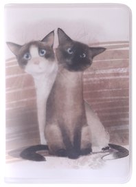 Записная книжка «Коты. Муся и Кузя» А7, 80 листов в клетку, Be positive