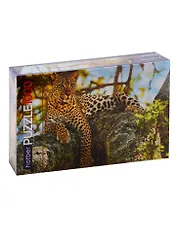 Пазл HATBER Premium 1000 эл. 680х450мм.Леопард