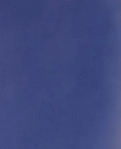 Тетрадь в клетку Listoff, "Синий бумвинил", 48 листов