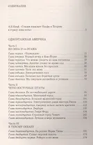 Одноэтажная Америка. Письма из Америки