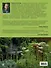 Стильный сад. От вдохновения - к идее, от образа - к проекту. 2-е изд. - 1