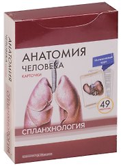 Анатомия человека. Спланхнология (49 карточек)