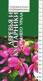 Деревья и кустарники среднего Урала