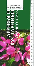 Деревья и кустарники среднего Урала