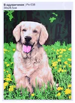 Картина по номерам "В одуванчиках"