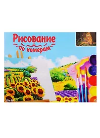 Набор для раскрашивания по номерам ТМ Рыжий Кот Холст Древесная сова 30х40см Х-9103