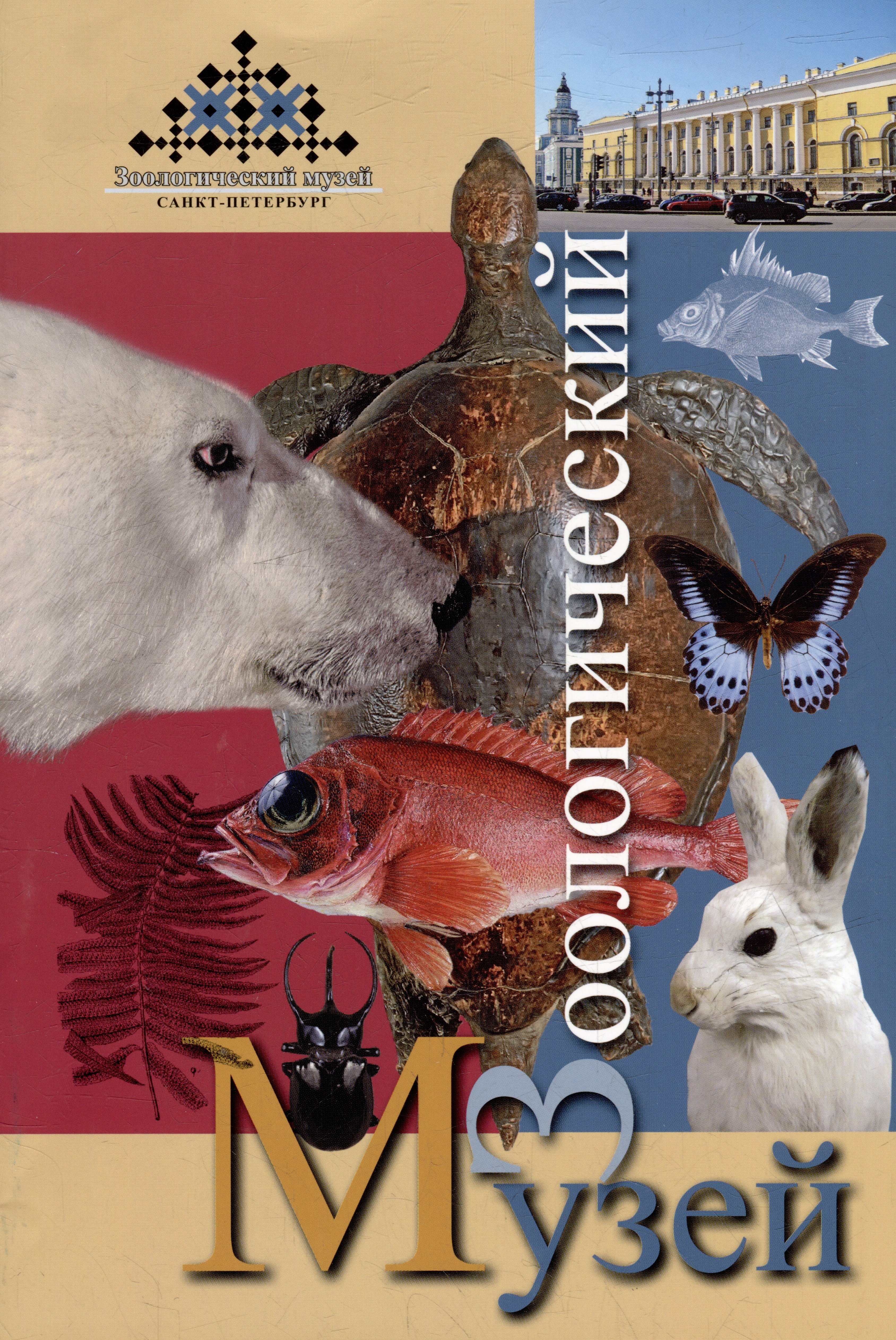 

Мини буклет "Зоологический музей"