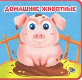 Домашние животные