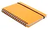 Тетрадь 80 листов, клетка, "Favorite Color. Neon Orange" спираль - 1