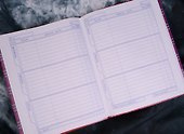 Дневник школьный «Шотландка», Hatber - 1