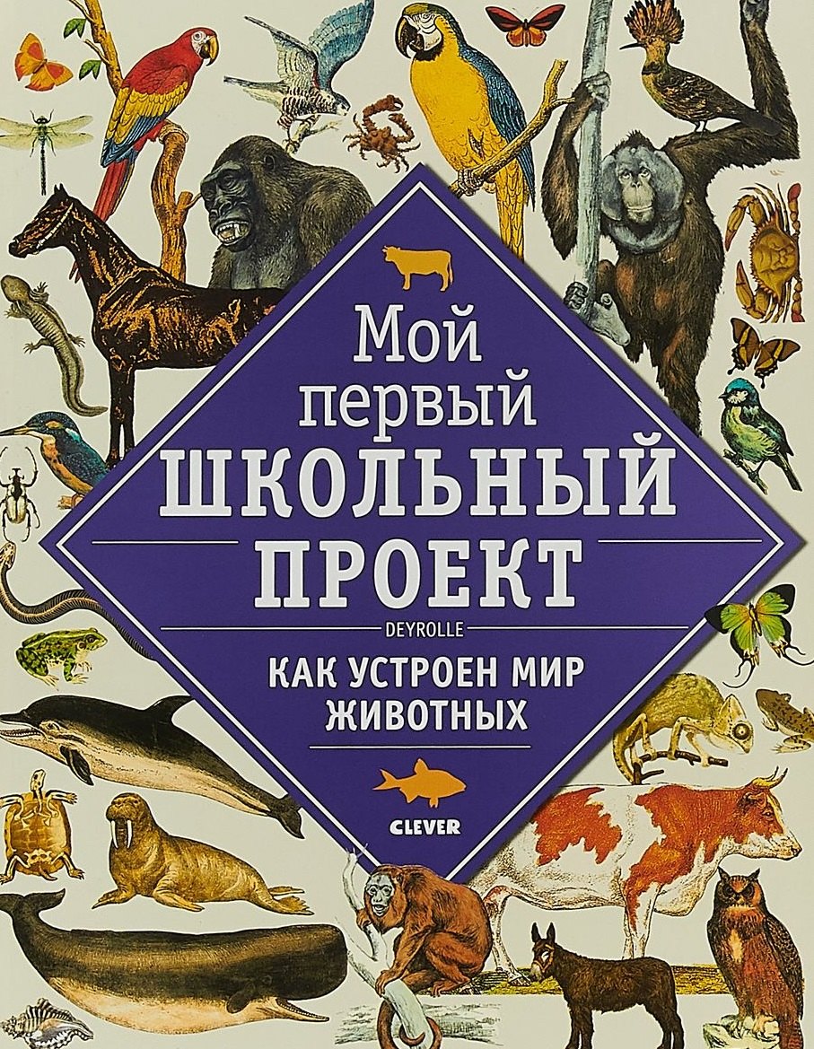 

Мой первый школьный проект. Как устроен мир животных