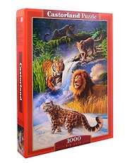 Пазл Castorland 1000 эл. "Дикие кошки" (68*47см.)