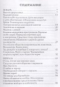 Дневник Писателя 1876. Достоевский Ф.М. - 1