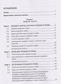 Трудовое право России. Уч. для бакалавров - 2