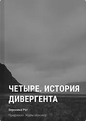 Четыре. История дивергента
