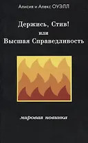 Держись, Стив! или Высшая Справедливость