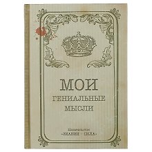 Блокнот «Мои гениальные мысли», 96 листов, крафт