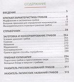 Грибы - 1