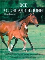 Все о лошади и пони