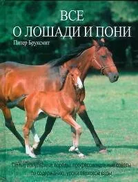 Все о лошади и пони