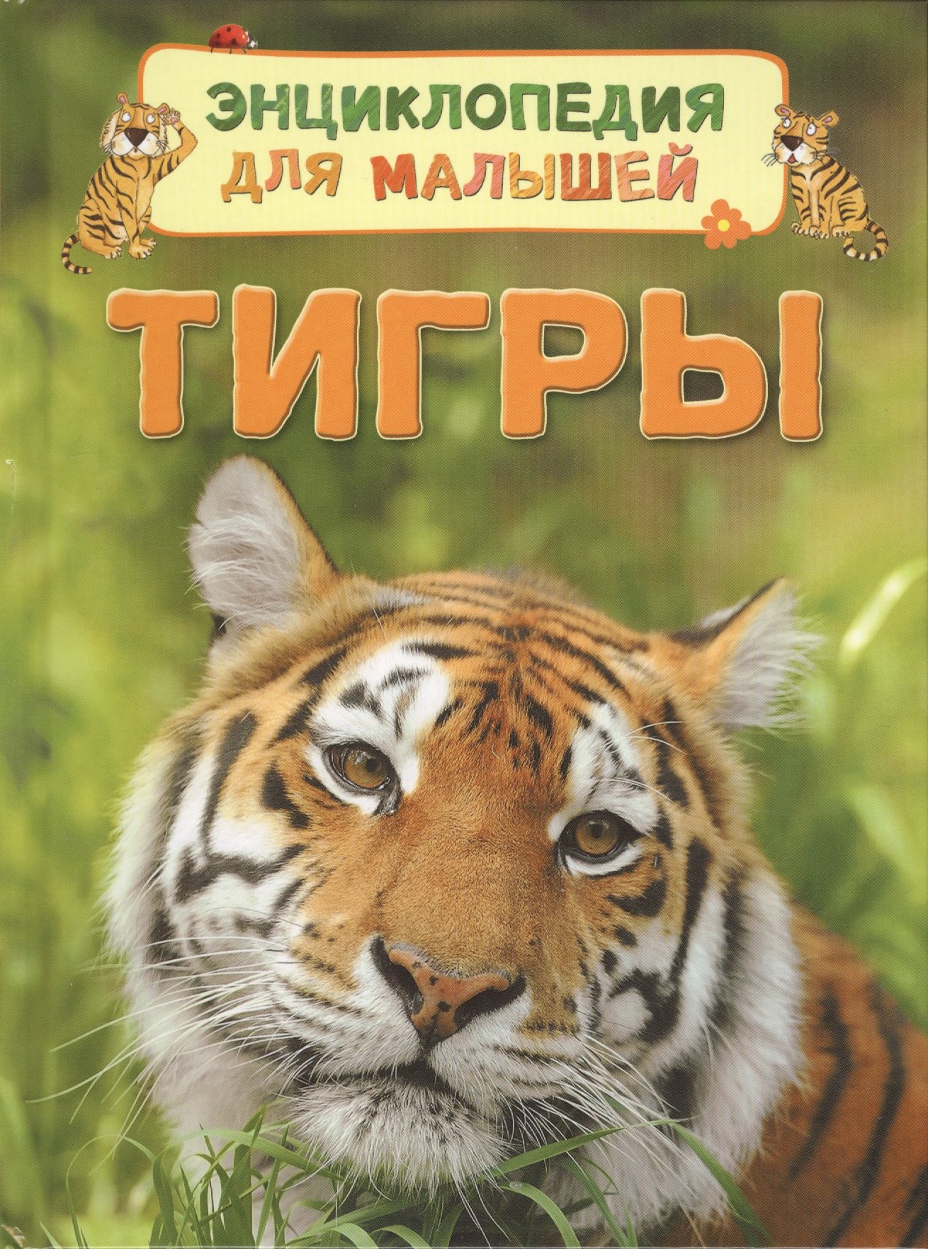 

Тигры