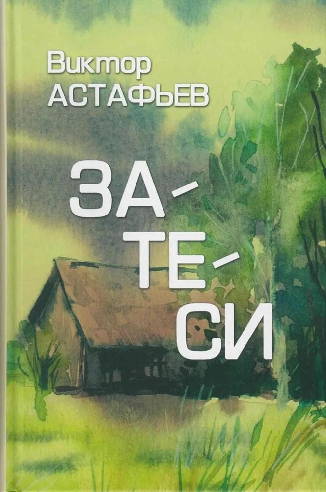 

Затеси