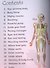 Your Body - 1