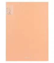 Папка 2кольца А4 "Matt Pastel Bloom" 24мм, пластик, ассорти, Erich Krause