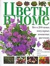 Цветы в доме. Все о 200 самых популярных комнатных растениях