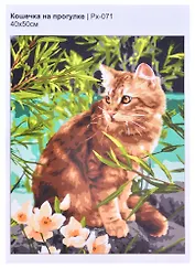 Картина по номерам "Кошечка на прогулке"