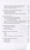Золотая черепаха. Мир тибетской геомантии (саче) - 2