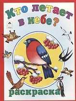 Кто летает в небе