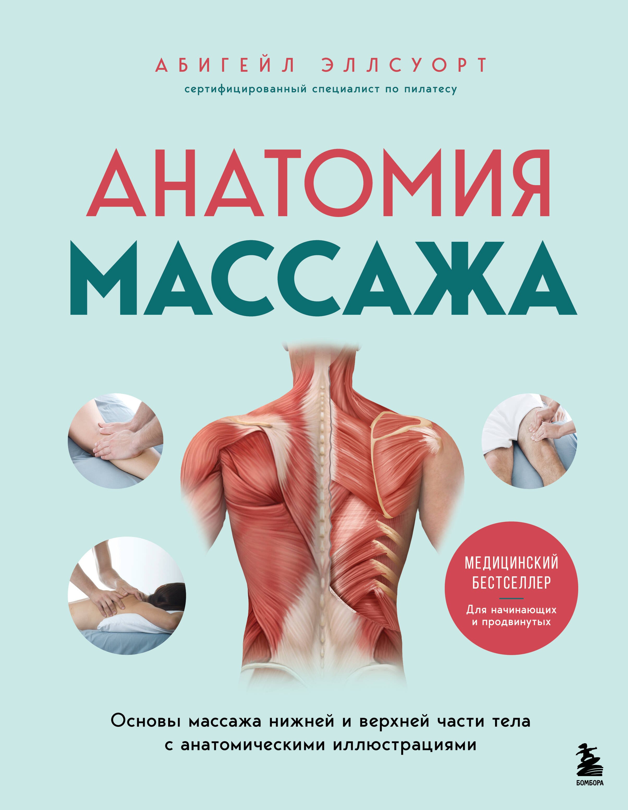   Буквоед Анатомия массажа. Основы массажа нижней и верхней части тела с анатомическими иллюстрациями