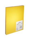 Бумага для пастели А4 "Iris Vivaldi" 240гр/м2, №05 желтое золото, Canson - 1