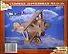 Самолет Ньюпорт-17 S-Р060 (1/120) (Сборная деревянная модель) - 0