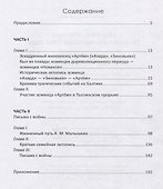 "Артем", эсминец Таллинского прорыва 1941 года. Воспоминания дочери погибшего политрука корабля. Архивные документы, письма, фотографии - 1