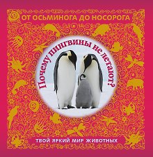 Почему пингвины не летают? Твой яркий мир животных