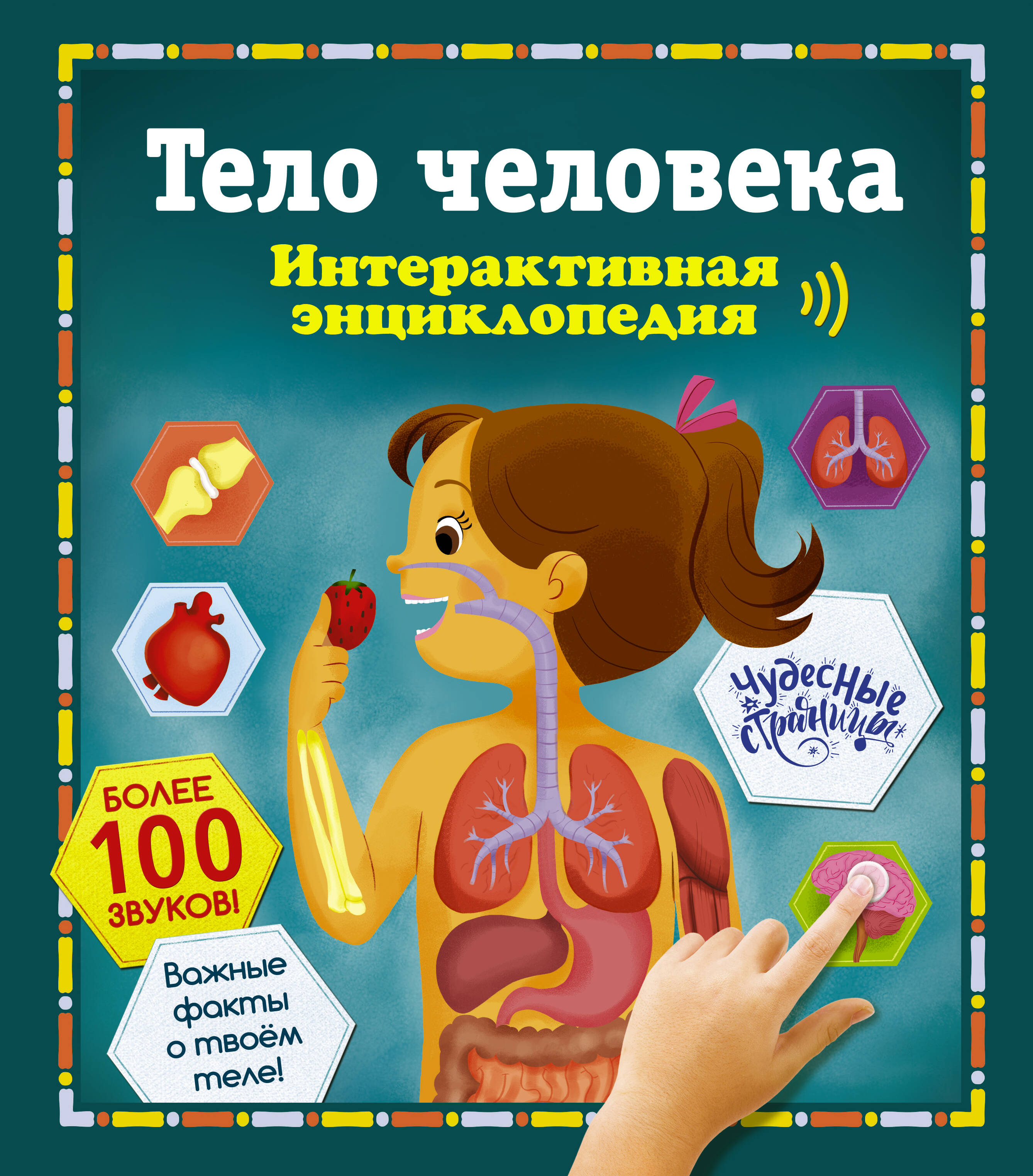Обложка книги «Тело человека. Интерактивная энциклопедия»