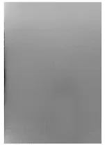 Тетрадь в клетку Hatber, "Metallic Серебро", А4, 48 листов