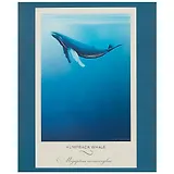 Тетрадь в клетку Unnika, "Под водой", 48 листов, в ассортименте