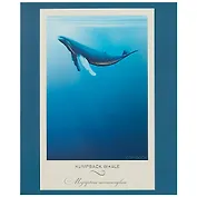 Тетрадь в клетку Unnika, "Под водой", 48 листов, в ассортименте