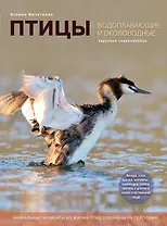 Птицы. Водоплавающие и околоводные. Звуковая энциклопедия