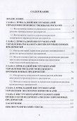 Управленческий инструментарий промышленного риск-менеджмента. Монография - 1
