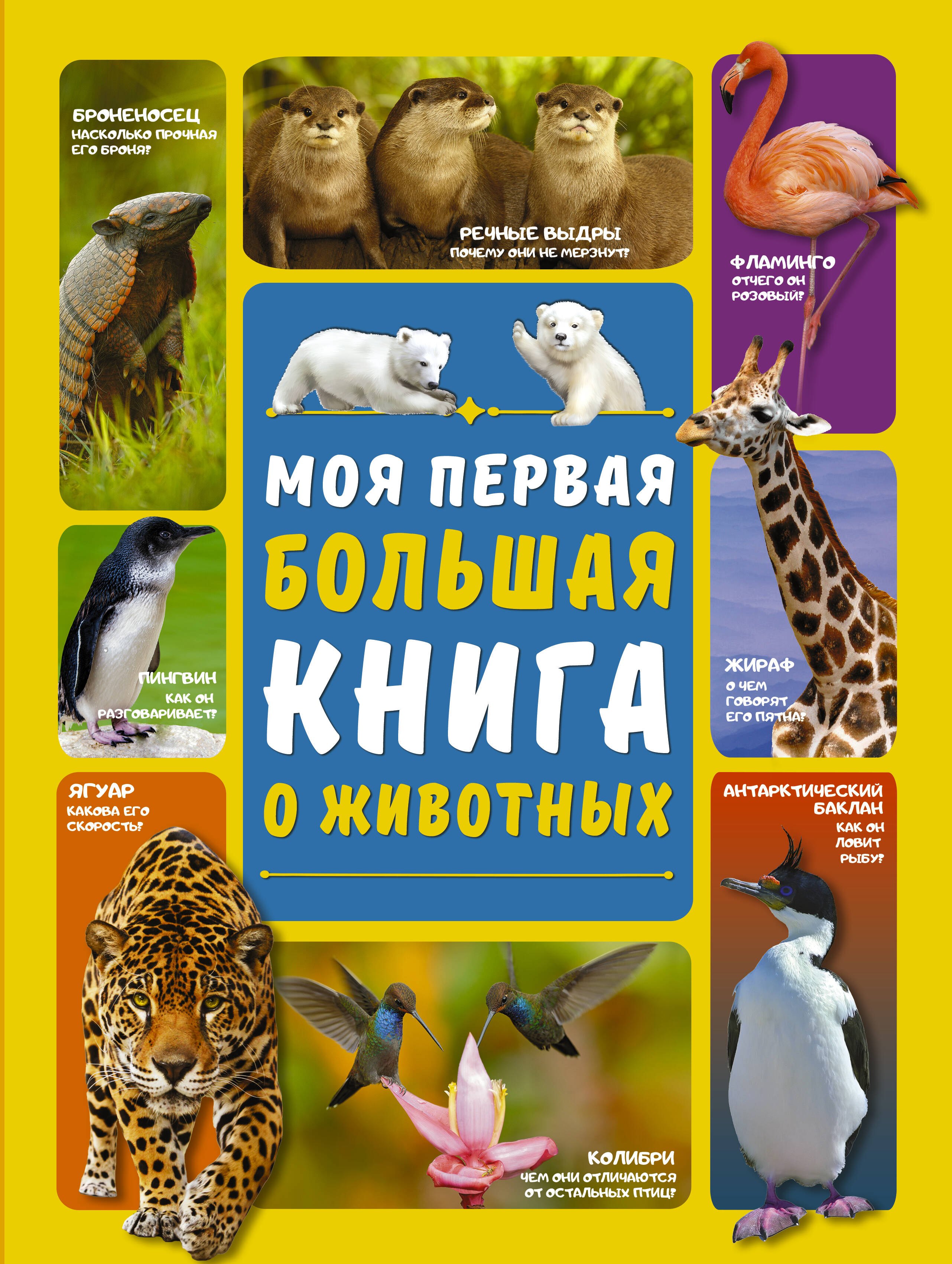 

Моя первая большая книга о животных