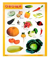 Развивающие плакаты. Овощи