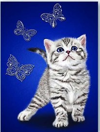 Записная книжка «Котенок» А6, 80 листов