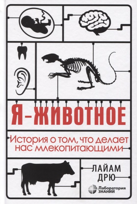 Зоология  Буквоед Я - животное. История о том, что делает нас млекопитающими